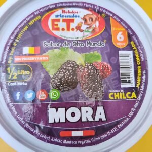 Helado artesanal de Mora 1 litro